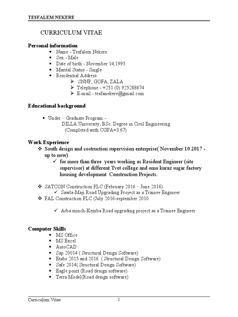 CV Resume | PDF | Engineering