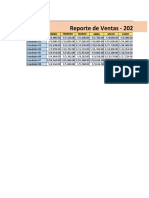 Trabajo Final de Informatica Desarrollado