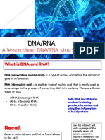 DNA - RNA Introduction Assignment