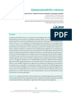 Glomerulonefritis Crónicas: Resumen