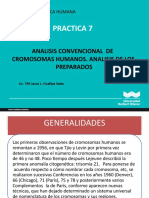 PRACTICA 7 - Análisis Convencional de Los Cromosomas Humanos