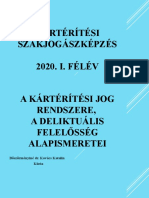 1 - A Kártérítési Jog Rendszere - 0916