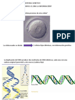 Codificacion Del ADN