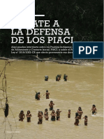 Súmate A La Defensa de Los PIACI - Documento +