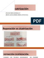 Cicatrización