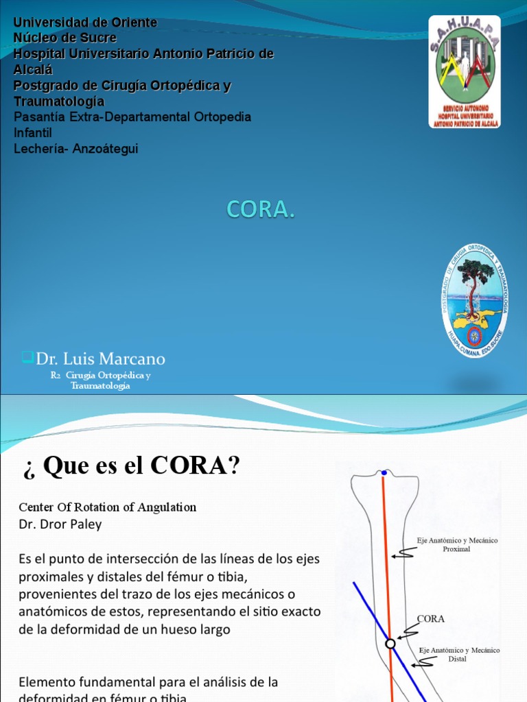 Definición y Aplicación del CORA | PDF