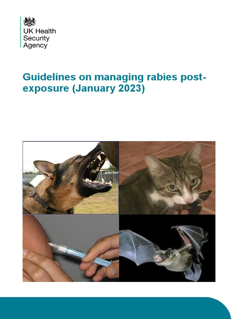 UKHSA Guidelines On Rabies Post Exposure Treatment January 2023 | PDF