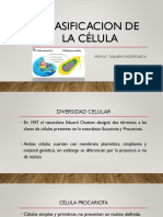 Clasificacion de La Célula