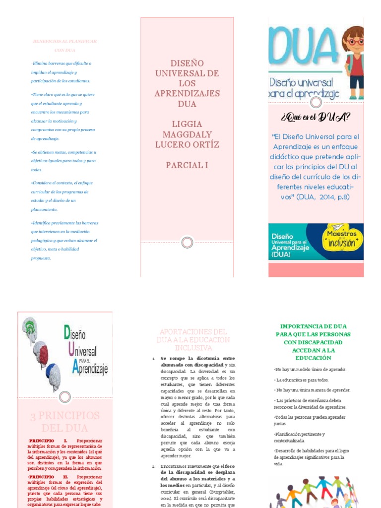 1er Parcial Dua | PDF | Aprendizaje | Plan de estudios