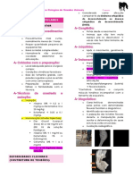 Cirurgias Osteomusculares