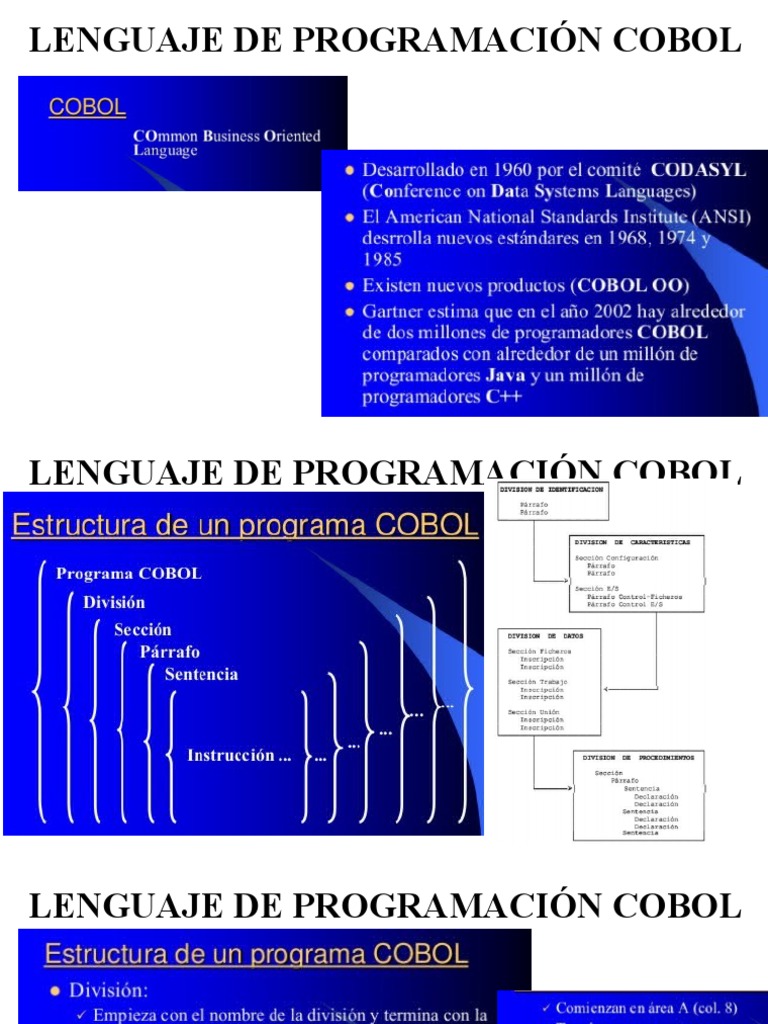 Estructura de un Programa COBOL | PDF | Hogar, jardinería y bricolaje ...