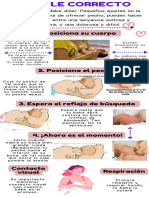 Infografía Maternidad Lactancia Materna Pasos y Consejos Suave Ilustrado Rosa