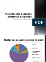 As Razes Dos Desastres Ambientais Brasileiros
