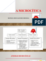 Anemia Ferropenica