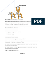 Posibles Ejercicios (ANATOMIA)