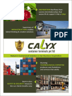 Calyx Brochure - CFS Container Freight Station
