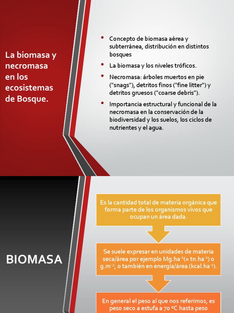 Biomasa y necromasa en ecosistemas forestales | PDF | Arboles | Biomasa ...