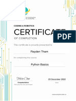 Rayden Tham Certificate Python Basics