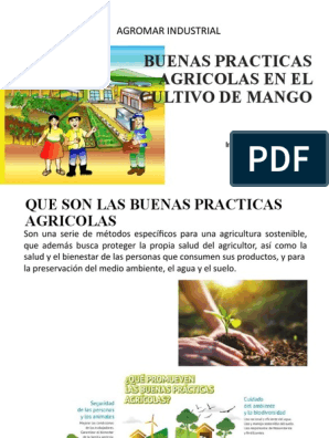 Universidad Nacional de San Martín - 🍅 ¿Querés aprender a elaborar  alimentos saludables implementando buenas prácticas para su producción? 🥬  ¿Te interesa saber cómo realizar cultivos en espacios urbanos, recuperar  desechos o