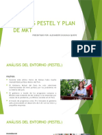 Análisis Pestel y Plan de MKT