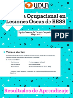 Lesiones Oseas en EESS