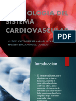 Sistema Cardiovascular