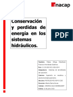 Informe Sistemmas Hidraulicos Matias Villega y Francisco Hernandez