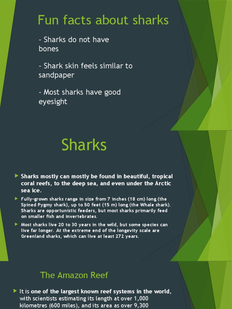 Sharks | PDF