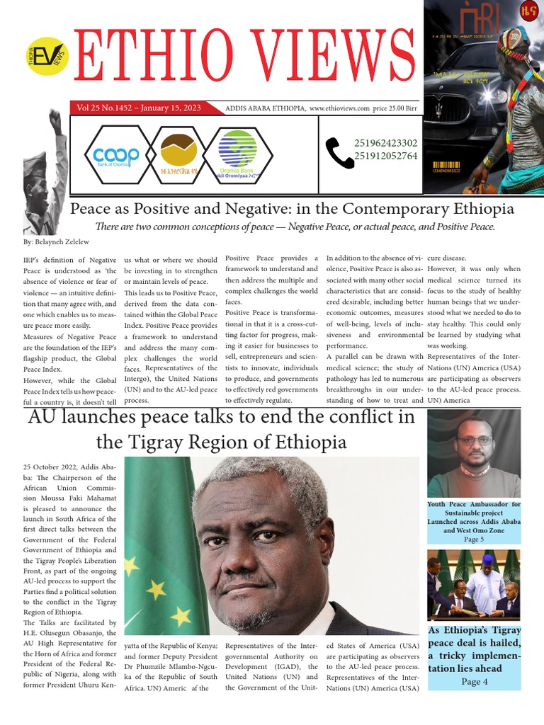 EthioViews Online News Paper PDF Ethiopia African Union