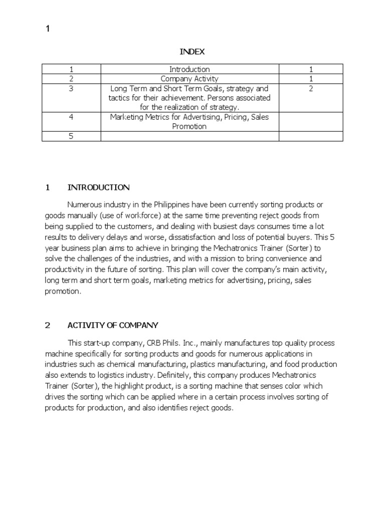 5 Year Business Plan PDF