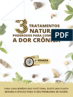 Revista - Jornada 0422 - 03 Tratamentos Naturais Poderosos para Combater Dor Crônica