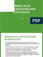 Amino Acid Degredation