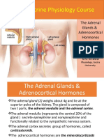 Adrenocortical Hormones