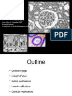 Histology 1.3 Epithelial Tissue