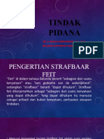 Tindak Pidana