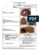 6.4 Preparatai. Inkstų Ligos Ir Sindromai Bei Jų Morfologiniai Pokyčiai Ho