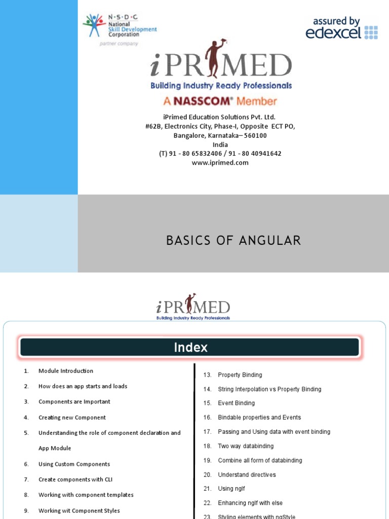 Basics of angular presentation pdf application software html