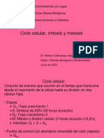 Clase 07-Ciclo Celular, Mitosis y Meiosis PDF