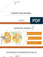 Función Tubular Renal