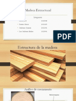 Madera Estructural Exposicion
