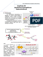 Bloco de Aulas 2 Biologia 1 PDF 10 (Metabolismo)