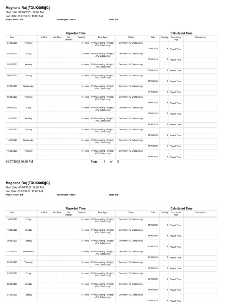 Meghana Raj Project Time Report | PDF | Computers | Technology ...