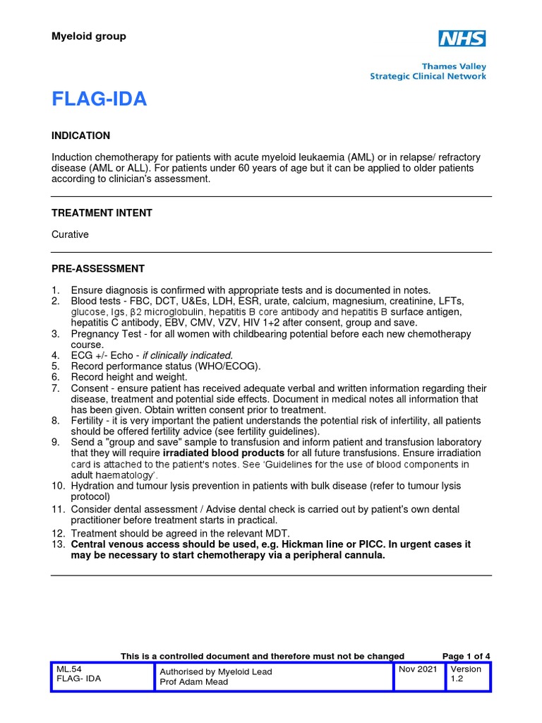 ML54flagida PDF