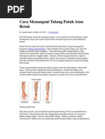 Download Cara Menangani Tulang Patah Atau Retak by Febriantoni IcoNerz SN65771196 doc pdf