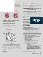 Cardio (Finals Notes)