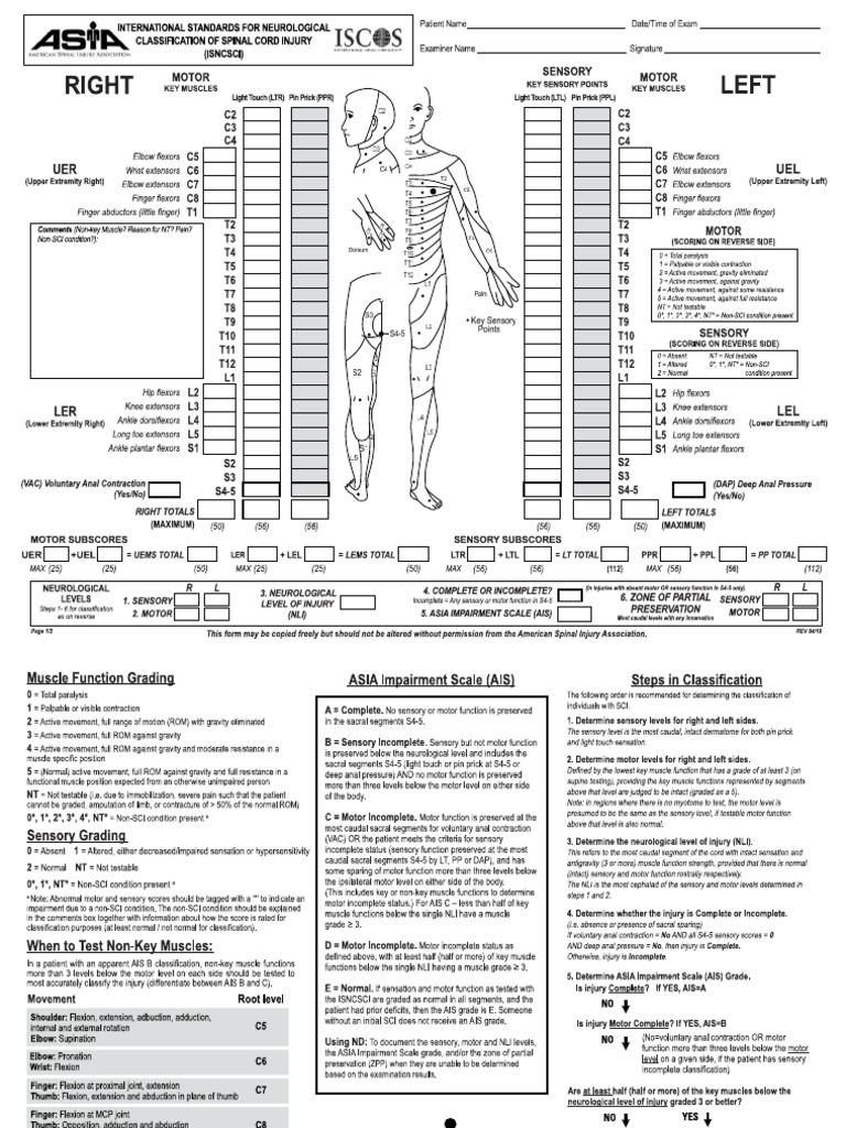 ASIA Scale | PDF