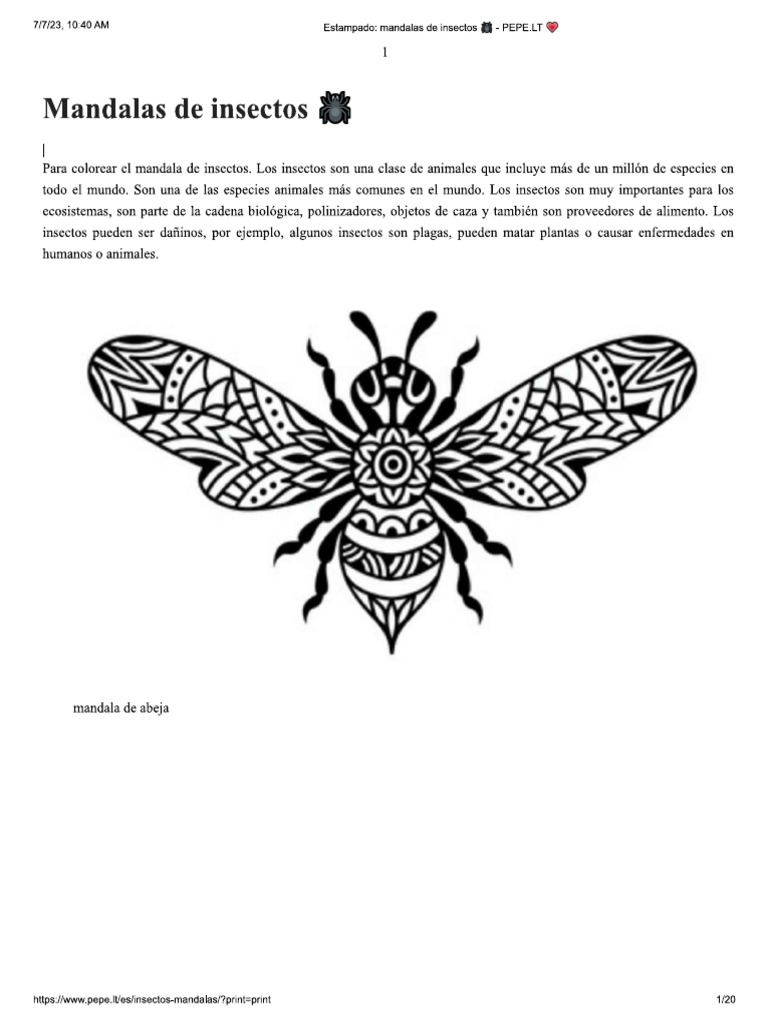 Mandalas de Insectos | PDF
