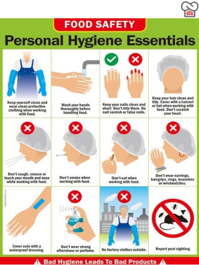 Personal Hygiene Essentials | PDF