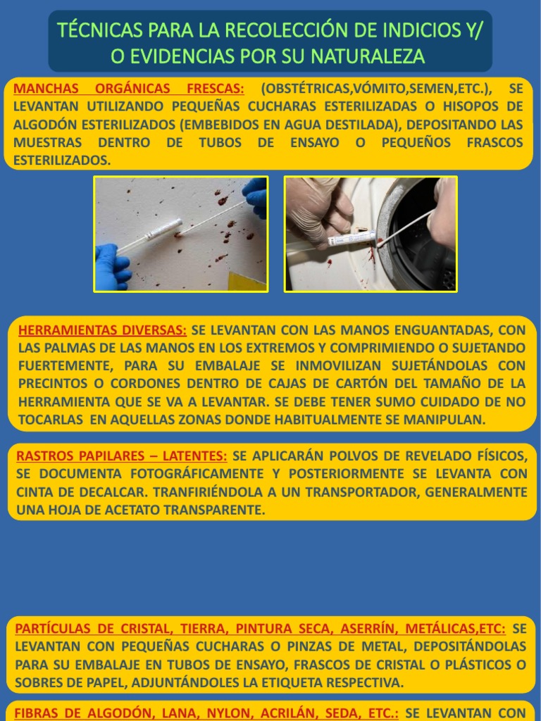 Técnicas de Recolección de Indicios | PDF