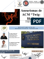 Aneurismas de ACM "Twig-Like"